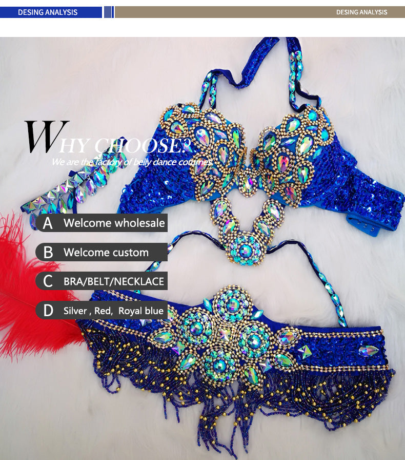 Belly Dancers Beaded Bra and Belt Set Belly Dance Costume Set with
