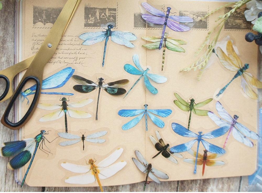 18pcs Dragonfly Stickers Scrapbooking Craft - Woodland Gatherer Woodland Gatherer | Australian Online Gift Store | Gifts & Treasures | Special Occasions & Everyday Fun | Whimsical Treats | Costumes | Jewellery | Fashion | Crafting DIY | Stationery | Boho Festival Fashion | Home Decor & Fittings     Afterpay Available Paypal Available Humm Available Worldwide Shipping Available