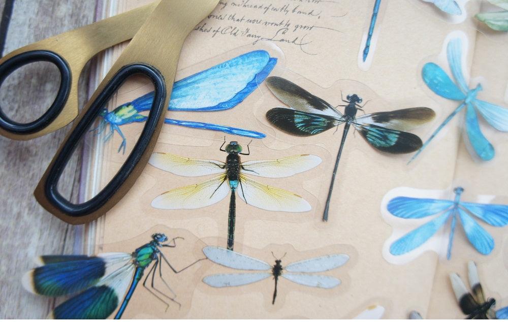 18pcs Dragonfly Stickers Scrapbooking Craft - Woodland Gatherer Woodland Gatherer | Australian Online Gift Store | Gifts & Treasures | Special Occasions & Everyday Fun | Whimsical Treats | Costumes | Jewellery | Fashion | Crafting DIY | Stationery | Boho Festival Fashion | Home Decor & Fittings     Afterpay Available Paypal Available Humm Available Worldwide Shipping Available