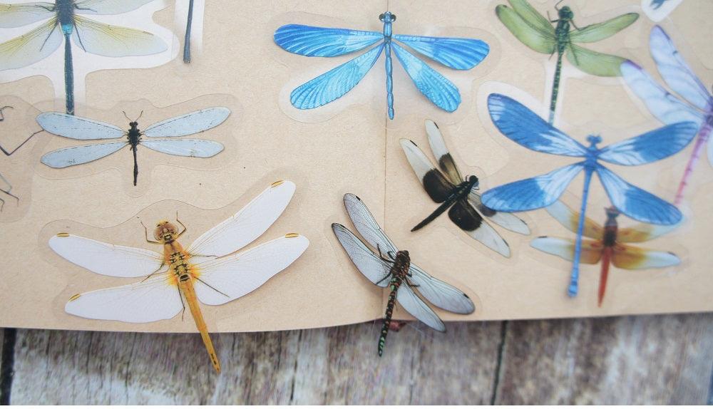 18pcs Dragonfly Stickers Scrapbooking Craft - Woodland Gatherer Woodland Gatherer | Australian Online Gift Store | Gifts & Treasures | Special Occasions & Everyday Fun | Whimsical Treats | Costumes | Jewellery | Fashion | Crafting DIY | Stationery | Boho Festival Fashion | Home Decor & Fittings     Afterpay Available Paypal Available Humm Available Worldwide Shipping Available