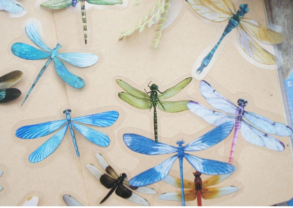 18pcs Dragonfly Stickers Scrapbooking Craft - Woodland Gatherer Woodland Gatherer | Australian Online Gift Store | Gifts & Treasures | Special Occasions & Everyday Fun | Whimsical Treats | Costumes | Jewellery | Fashion | Crafting DIY | Stationery | Boho Festival Fashion | Home Decor & Fittings     Afterpay Available Paypal Available Humm Available Worldwide Shipping Available